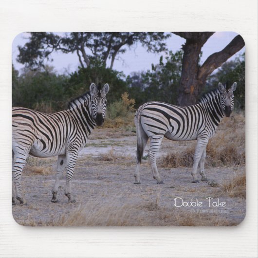 Zebra Double Take Photo Muismat (Voorkant)