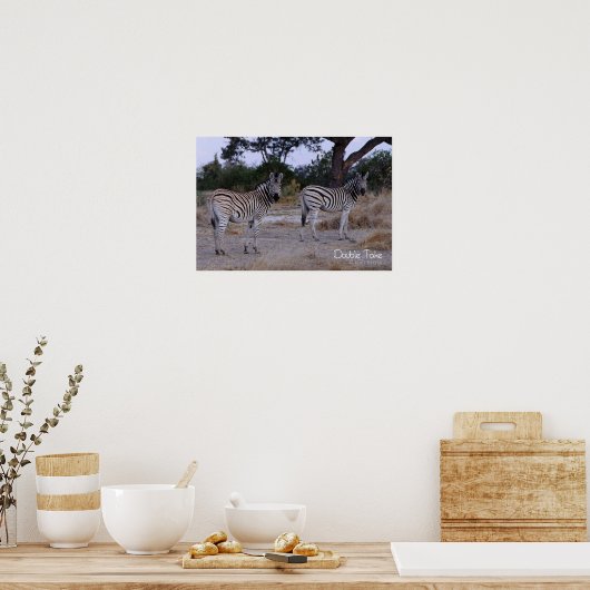 Zebra Double Take Photo Poster (Keuken)