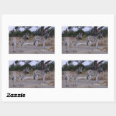 Zebra Double Take Photo Rechthoekige Sticker (Vel)