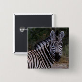 Zebra Double Take Photo Vierkante Button 5,1 Cm (Voorkant /achterkant)