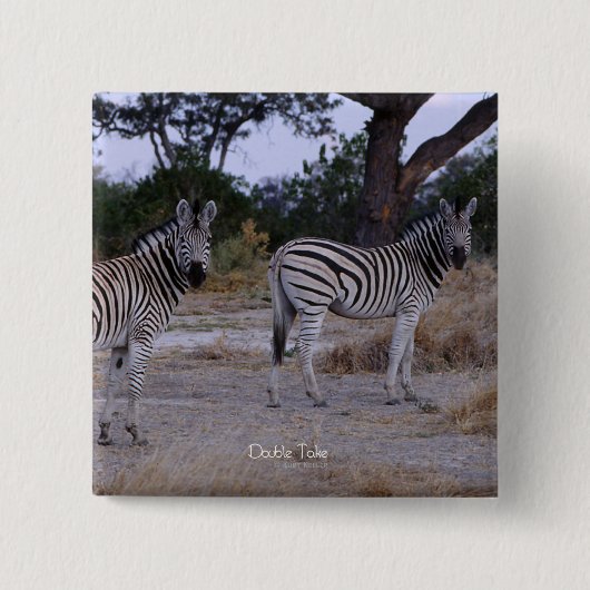 Zebra Double Take Photo Vierkante Button 5,1 Cm (Voorkant)