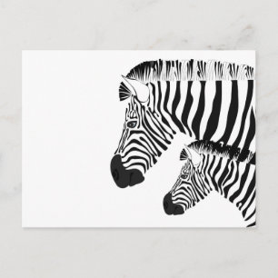 Zebra en baby briefkaart