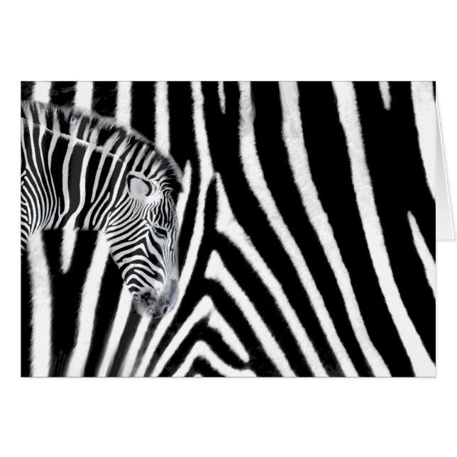 Zebra en het is stripe (Voorkant Horizontaal)