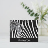 Zebra en het is stripe briefkaart (Staand voorkant)