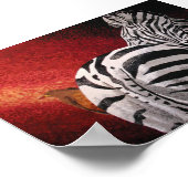 Zebra en Oxpecker Poster (Hoek)