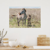 Zebra en vee poster (Keuken)