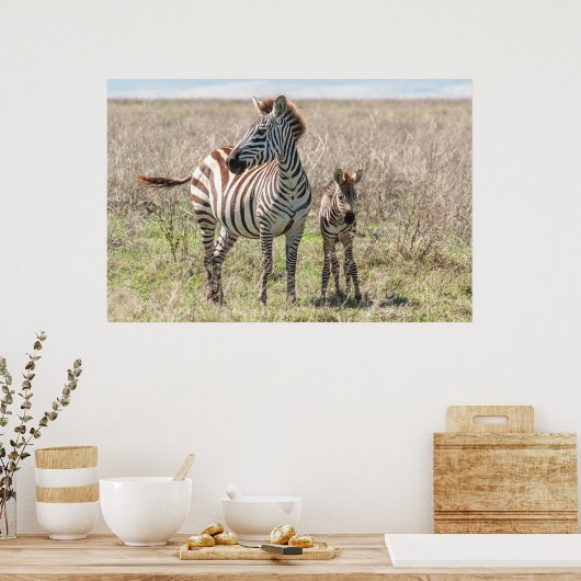 Zebra en vee poster (Keuken)