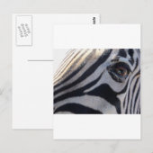Zebra Eye Briefkaart (Voorkant / Achterkant)
