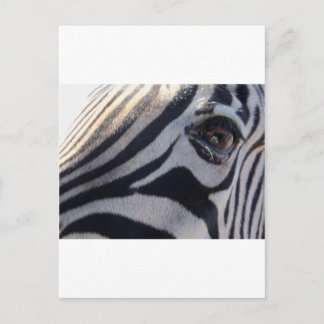 Zebra Eye Briefkaart