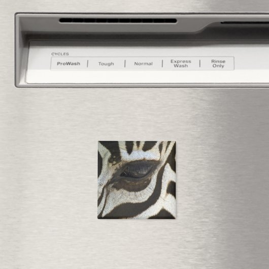 Zebra Eye Magnet (In Situ (Lave-vaisselle))