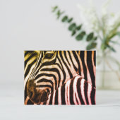 Zebra Face Briefkaart (Staand voorkant)