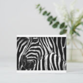 Zebra Face Briefkaart (Staand voorkant)