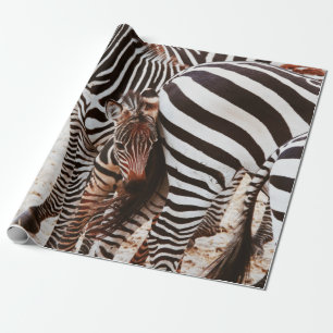ZEBRA FAMILIE CADEAUPAPIER
