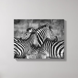 Zebra familie canvas afdruk