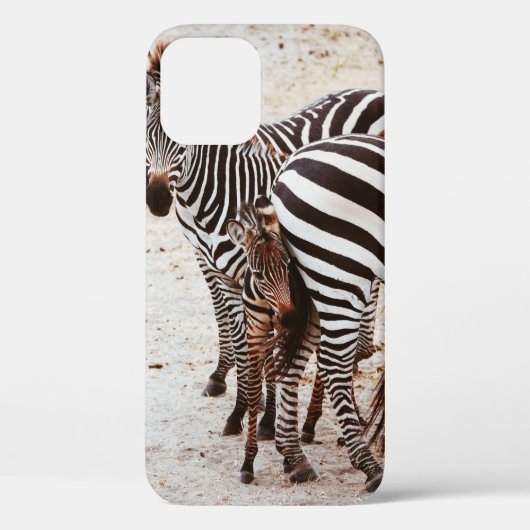 ZEBRA FAMILIE Case-Mate iPhone CASE (Achterkant)