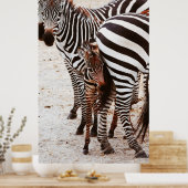ZEBRA FAMILIE POSTER (Keuken)