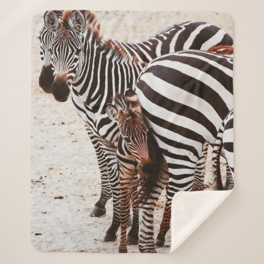 ZEBRA FAMILIE SHERPA DEKEN (Voorkant)