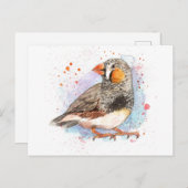 Zebra Finch Briefkaart (Voorkant / Achterkant)