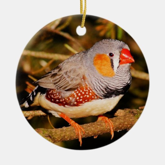Zebra Finch Keramisch Ornament (Voorkant)