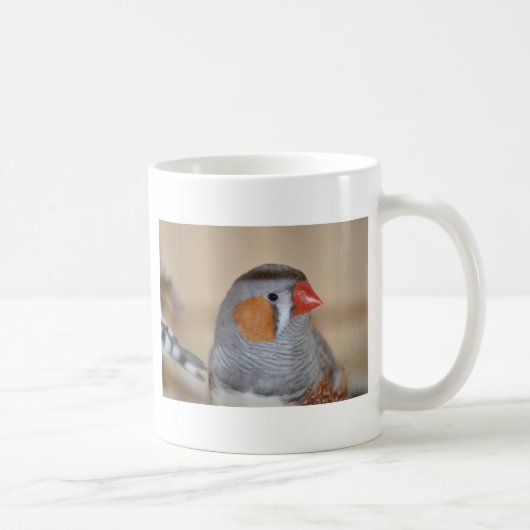 Zebra Finch Koffiemok (Rechts)