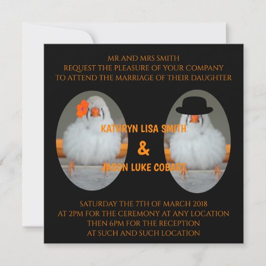 Zebra Finch met huwelijksaanzoek bruiloft Kaart (Voorkant)