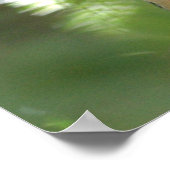 Zebra Finch Poster (Hoek)