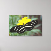 Zebra Flutterby Canvas Afdruk (Voorkant)