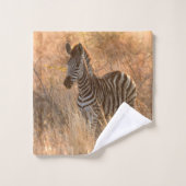 Zebra foal in morning light (Gant de toilette)
