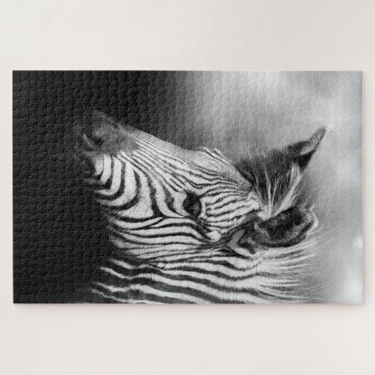 Zebra Foal Legpuzzel (Horizontaal)