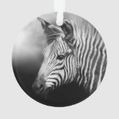 Zebra Foal Ornament (achterkant)