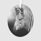 Zebra Foal Ornament (voorkant)