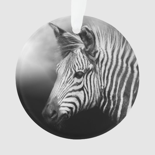 Zebra Foal Ornament (voorkant)