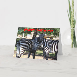 Zebra Friends Verjaardag Kaart