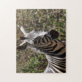 zebra gestript legpuzzel (Verticaal)