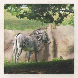 Zebra Glazen Onderzetter