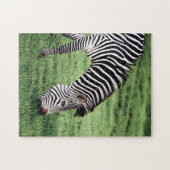 Zebra Graast Legpuzzel (Horizontaal)