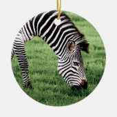 Zebra Grazing Keramisch Ornament (Voorkant)