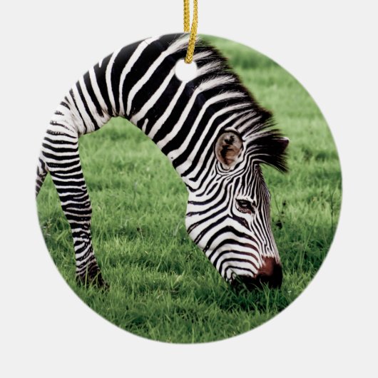 Zebra Grazing Keramisch Ornament (Voorkant)