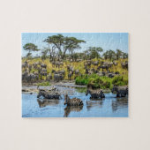 Zebra Herd in de Wilde Jigzaag Puzzle Legpuzzel (Horizontaal)