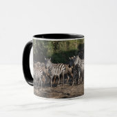 Zebra Herd in natuurlijke instelling, zwart interi Mok (Voorkant links)