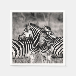 Zebra Herd Natuur Safari Zwart-wit Stripes Servet