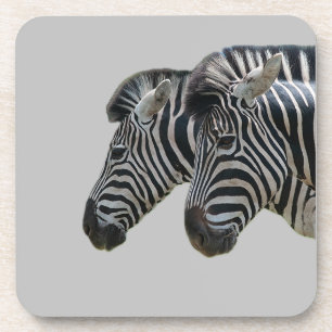 Zebra hoofden bier onderzetter