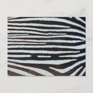 Zebra huid briefkaart