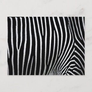 Zebra huid briefkaart