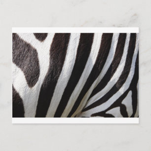 Zebra huidafdruk briefkaart