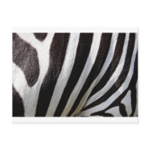 Zebra huidafdruk