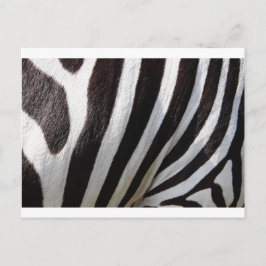 Zebra huidafdruk briefkaart