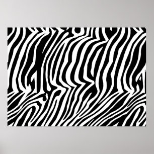 Zebra huidpatroon poster
