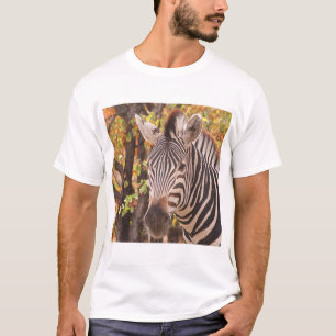 Zebra in een Mopani bos T-shirt