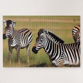 Zebra in gras legpuzzel